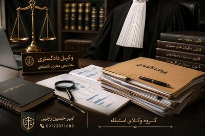 پیچیدگیهای حقوقی پروندههای قاچاق کالا و ارز؛ مصاحبه با وکیل پایه یک دادگستری