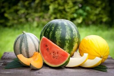  هندوانه یا طالبی؛ کدام‌ برای قند خون بهتر است؟