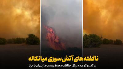  فیلم | ناگفته‌های آتش‌سوزی میانکاله