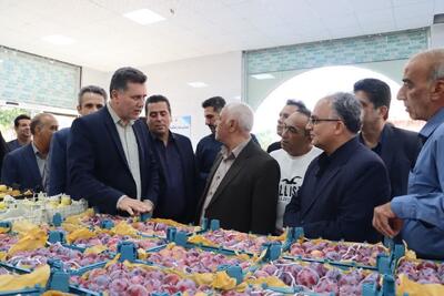 تحقق وعدهای برای شکست قیمتها؛ سومین بازارچه میوه در سمنان راهاندازی شد