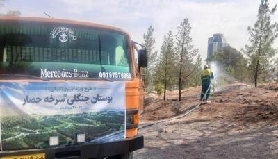 اخبار کوتاه تهران؛ آبیاری ویژه ۶۰۰ هکتار از بوستان جنگلی سرخهحصار
