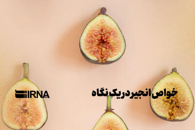  خواص انجیر در یک نگاه