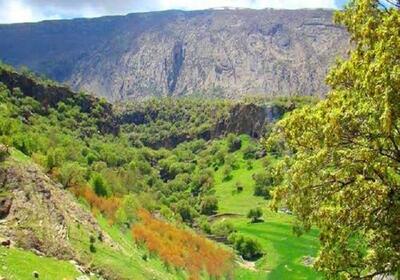 توسعه باغداری در ملکشاهی؛ اشتغالزایی در دامنه کبیرکوه