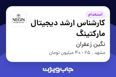 استخدام کارشناس ارشد دیجیتال مارکتینگ در نگین زعفران