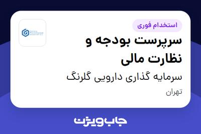  استخدام سرپرست بودجه و نظارت مالی در سرمایه گذاری دارویی گلرنگ