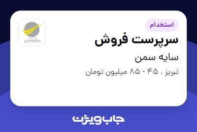 استخدام سرپرست فروش - آقا در سایه سمن