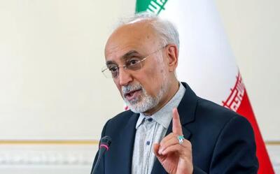 وزیر اسبق امور خارجه: امام حسین (ع) تا آخرین لحظه راه گفتگو را نبست/ مقاومت هرگز به معنای نفی گفتگو نیست