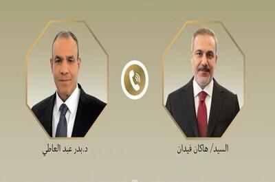  محورهای رایزنی تلفنی وزیران خارجه ترکیه و مصر