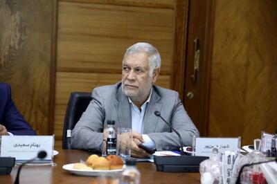 شهباز حسنپور: گروه مالی گردشگری با سرمایهگذاری در کرمان، الگویی موفق از نقشآفرینی بخش خصوصی در توسعه استان است