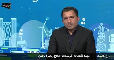  صدور مجوز صادرات مرغ شرطی شد + فیلم