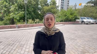 خبرنگار اسپوتنیک: محمدباقر ذوالقدر، دبیر شورای عالی امنیت ملی ایران، به تازگی در اظهاراتی اعلام کرد که تنگه هرمز تا زمانی که آمریکا شش خواسته تهران را برآورده نکند باز نخواهد شد