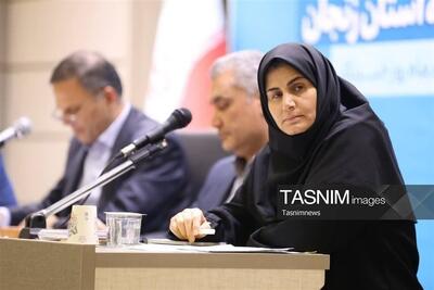  آخرین وضعیت پروژه پتروشیمی زنجان/قرارداد 380 میلیون یورویی منعقد شد‌ - تسنیم