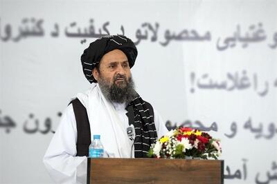  افغانستان نخستین گام‌ها برای رشد اقتصادی را برداشته است - تسنیم
