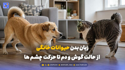  زبان بدن حیوانات خانگی؛ از حالت گوش و دم تا حرکت چشم ها