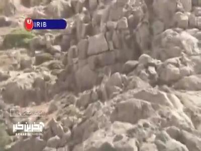 تصاویر ثبت شده از پلنگ ایرانی در سالوک