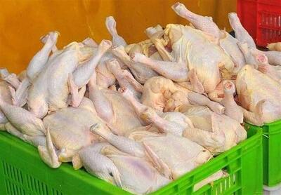  محکومیت میلیاردی عرضه کننده خارج از شبکه مرغ در رشت