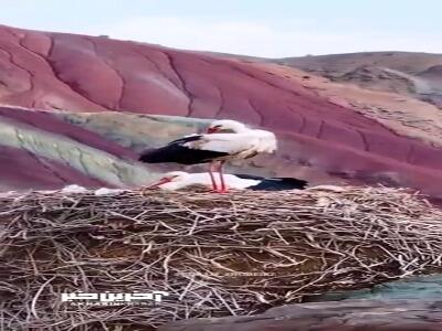  تصاویری زیبا از قلعه لک‌لک‌ها و کوه‌های رنگی ماهنشان زنجان