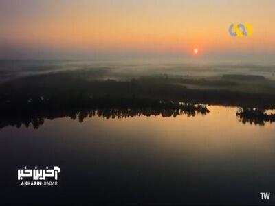 دزدی عقاب در روز روشن!