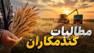 پرداخت جدید ۵۰ هزار میلیارد تومانی به گندمکاران تا چند روز آینده؛ مطالبات تا ۲۲ مرداد به ۲۱۰ همت میرسد