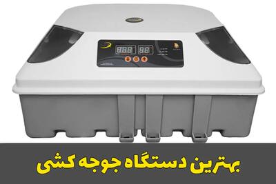  بهترین دستگاه جوجه کشی برای تمام پرنده ها