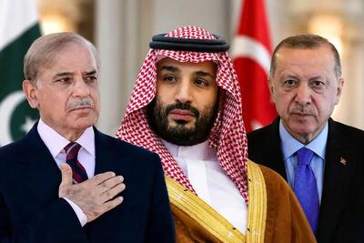  کیهان، اردوغان و شهباز شریف را به گربه نره و روباه مکار تشبیه کرد!