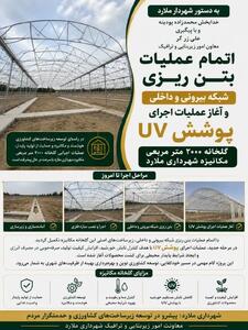 آغاز عملیات اجرایی پوشش uv و اتمام بتن ریزی شبکه بیرونی و درونی گلخانه ۲۰۰۰ مترمربع مکانیزه شهرداری ملارد
