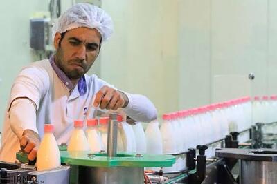 صادرات گاو شیری آزاد شد