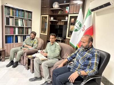 تشکیل نشست هماهنگی برای حفاظت از مرالها در فصل «گاوبانگی» در استان سمنان