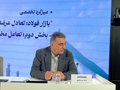 هشدار سعدمحمدی درباره وضعیت صادرات فولاد/ با ساختار سنتی نمیتوان در صنعت و معدن بلندپروازی کرد/ ساختار ما نیازمند تغییر است