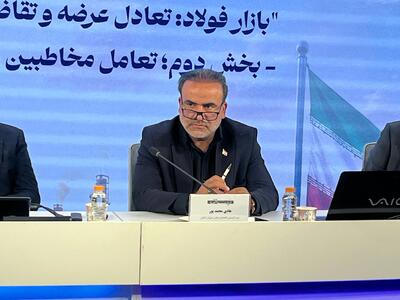 دبیر کمیسیون اقتصادی مجلس: تا زمانی که به بخش خصوصی اعتماد نکنیم نمیتوان انتظار تحول جدی داشت | توسعه صنعت فولاد نیازمند تغییر سیاستهای پدافند غیرعامل و اعتماد بیشتر به بخش خصوصی است