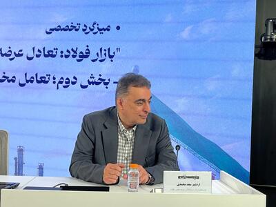 سعدمحمدی: با ساختار سنتی نمیتوان در صنعت و معدن بلندپروازی کرد | ایران تنها کشوری است که متولی اکتشاف آن سازمان زمینشناسی است | کسی نمیداند در حوزه اکتشاف چه کارهایی انجام میشود
