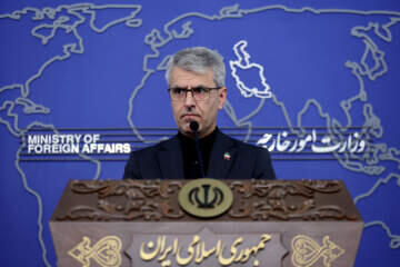 بقائی: تعیین تکلیف سند کنوانسیون خزر بر عهده مجلس شورای اسلامی است - همدلی