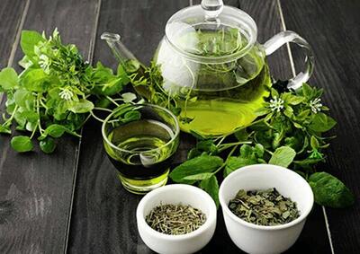 نوشیدنی سبز محبوب که التهاب بدن را کاهش میدهد