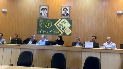 معاون استاندار زنجان: نظارت بر زنجیره آرد و نان در استان تشدید شود