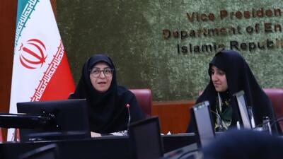  زنان ظرفیت بالایی در تشکل‌های محیط‌زیستی دارند