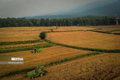 آموزش پایه ۹۱۰۰ مددکار ترویجی برای مشارکت در مزارع الگویی کشاورزی آغاز شد
