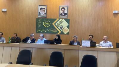 معاون استاندار زنجان: نظارت بر زنجیره آرد و نان در استان تشدید شود