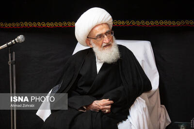 تسلیت آیتالله نوری همدانی به سیدحسن خمینی
