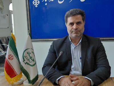 ۹۸ درصد تاکستانهای اسدآباد سنتی است/ ثبت نشان جغرافیایی موسیر روستای گردشگری حبشی