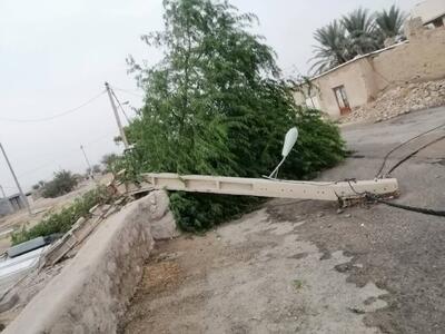 خسارت ۹۷۰ میلیارد ریالی طوفان «چهل پسین» به شبکه برق فارس