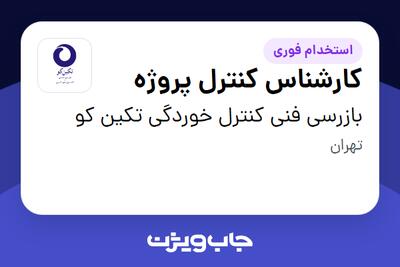  استخدام کارشناس کنترل پروژه در بازرسی فنی کنترل خوردگی تکین کو