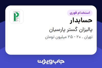 استخدام حسابدار - خانم در پالیزان گستر پارسیان