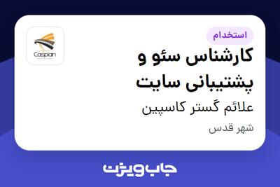 استخدام کارشناس سئو و پشتیبانی سایت در علائم گستر کاسپین
