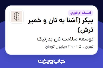 استخدام بیکر (آشنا به نان و خمیر ترش) در توسعه سلامت نان بدرنیک
