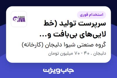  استخدام سرپرست تولید (خط لایی‌های بی‌بافت و الیاف) - آقا در گروه صنعتی شیوا دلیجان (کارخانه)