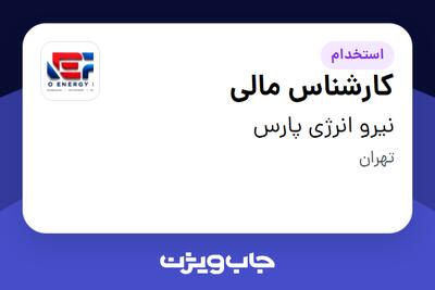  استخدام کارشناس مالی در نیرو انرژی پارس