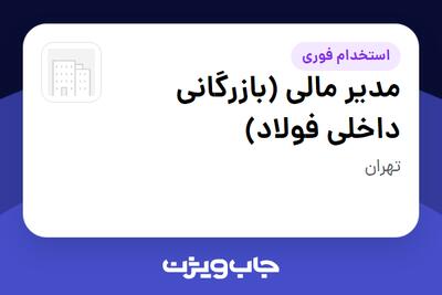  استخدام مدیر مالی (بازرگانی داخلی فولاد) در سازمانی فعال در حوزه تجارت / بازرگانی