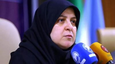  سخنگوی دولت: تعداد زنان شهید در جنگ تحمیلی و اتفاقات دی ماه قابل توجه است/ برای جذب سرمایه‌گذار نیاز به امنیت داریم - مردم سالاری آنلاین
