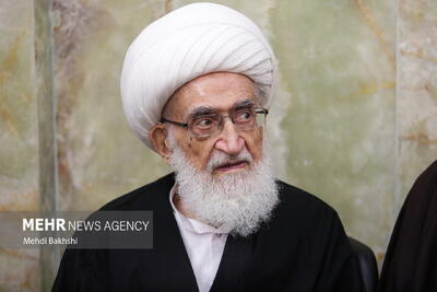 آیتالله نوری همدانی درگذشت امالزوجه سید حسن خمینی را تسلیت گفت