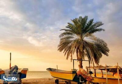  آژیر هشدار در جاسک به صدا درآمد | نفت ما